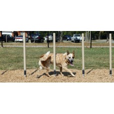 Weave Posts for pet park play