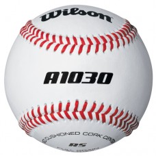 Wilson A1030B High School Baseball