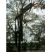 Slam II Adjustable Basketball System Inground